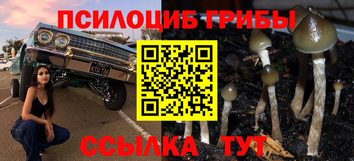 Галлюциногенные грибы Magic Shrooms  Вход с VPN  Орск 